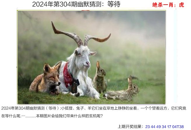 2024304期幽默猜测