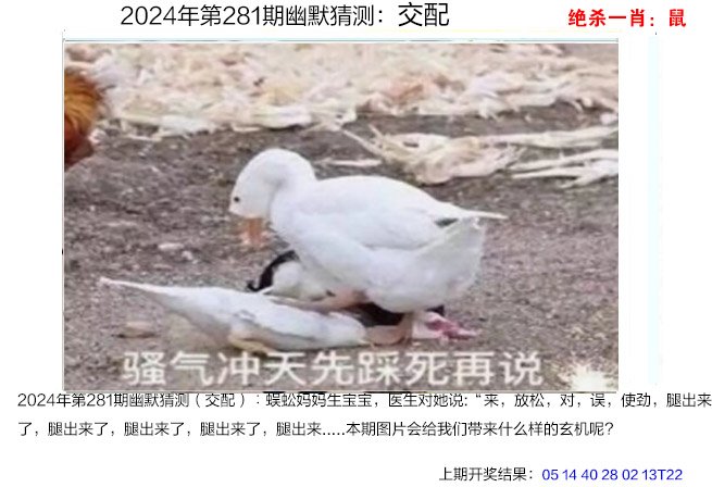 2024281期幽默猜测
