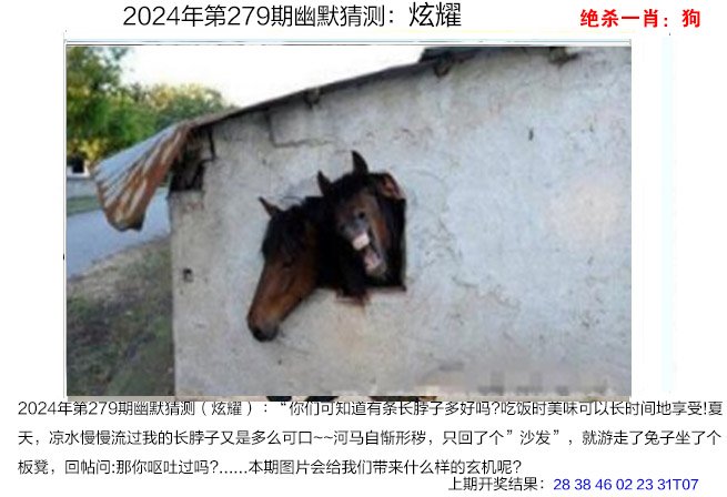 2024279期幽默猜测