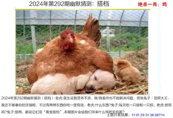 2024292期幽默猜测