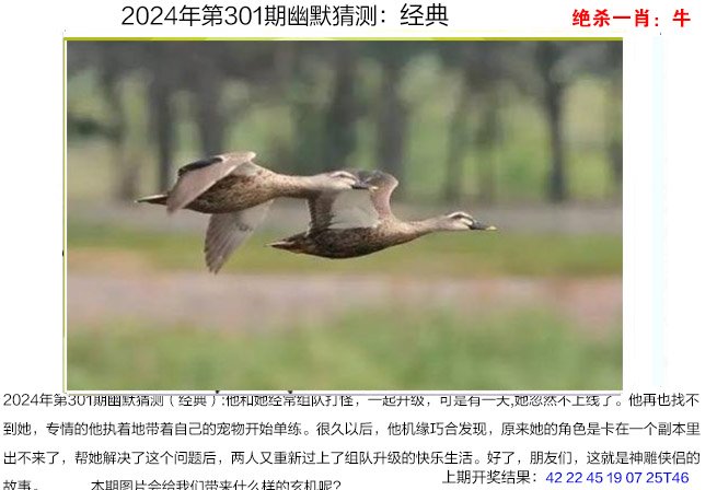 2024301期幽默猜测