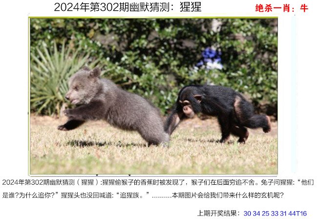 2024302期幽默猜测