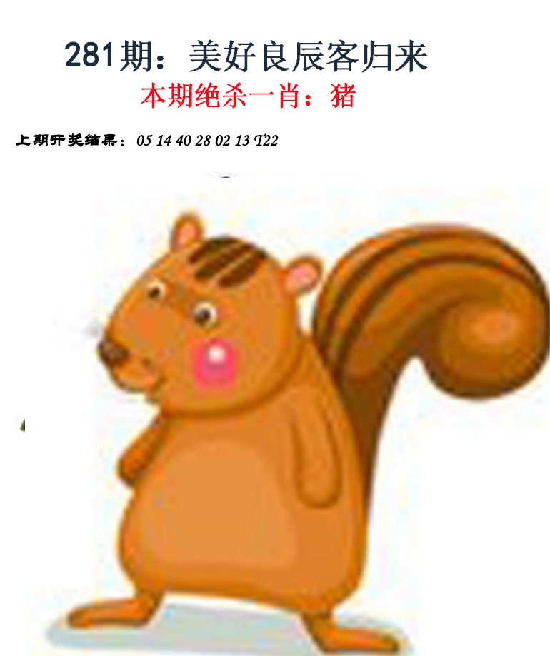 2024281期金钱豹自有真功夫