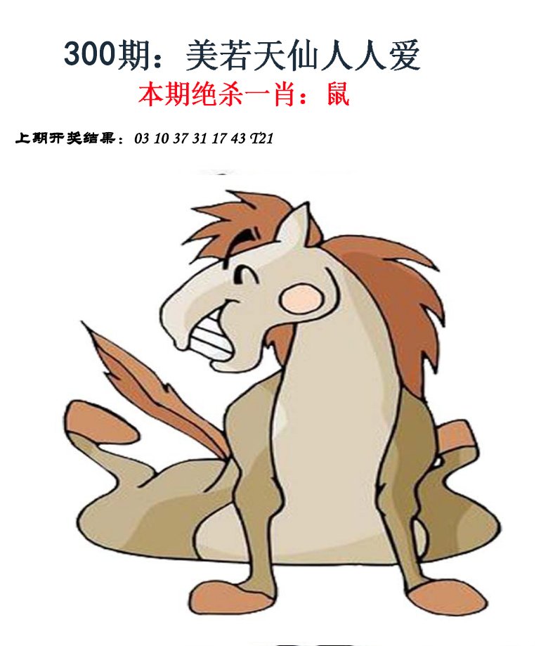 2024300期金钱豹自有真功夫