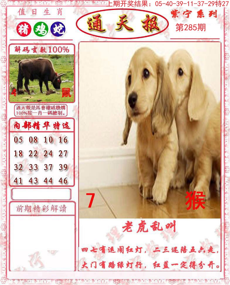 2024285期救通报