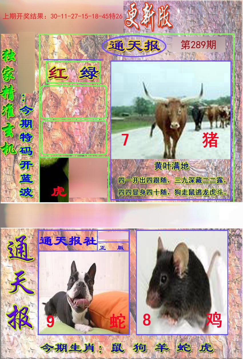 2024289期新通报