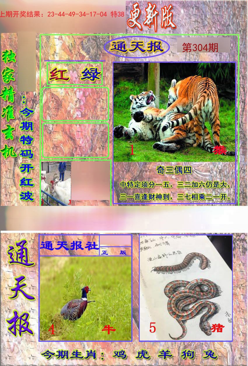 2024304期新通报
