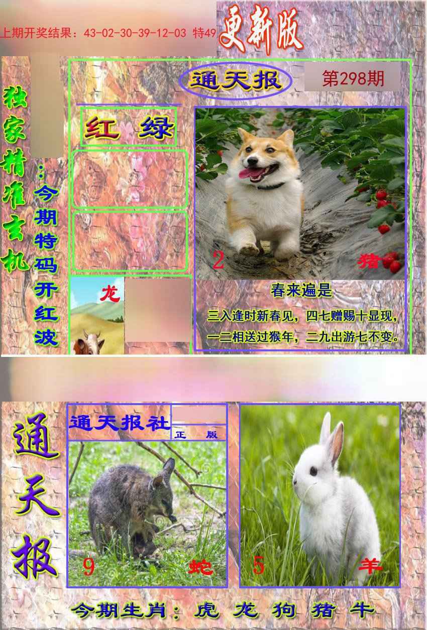 2024298期新通报