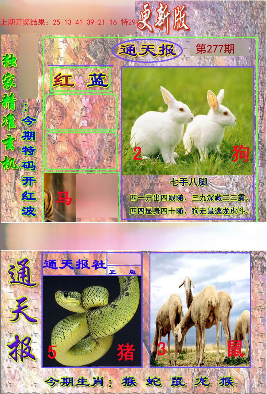 2024277期新通报