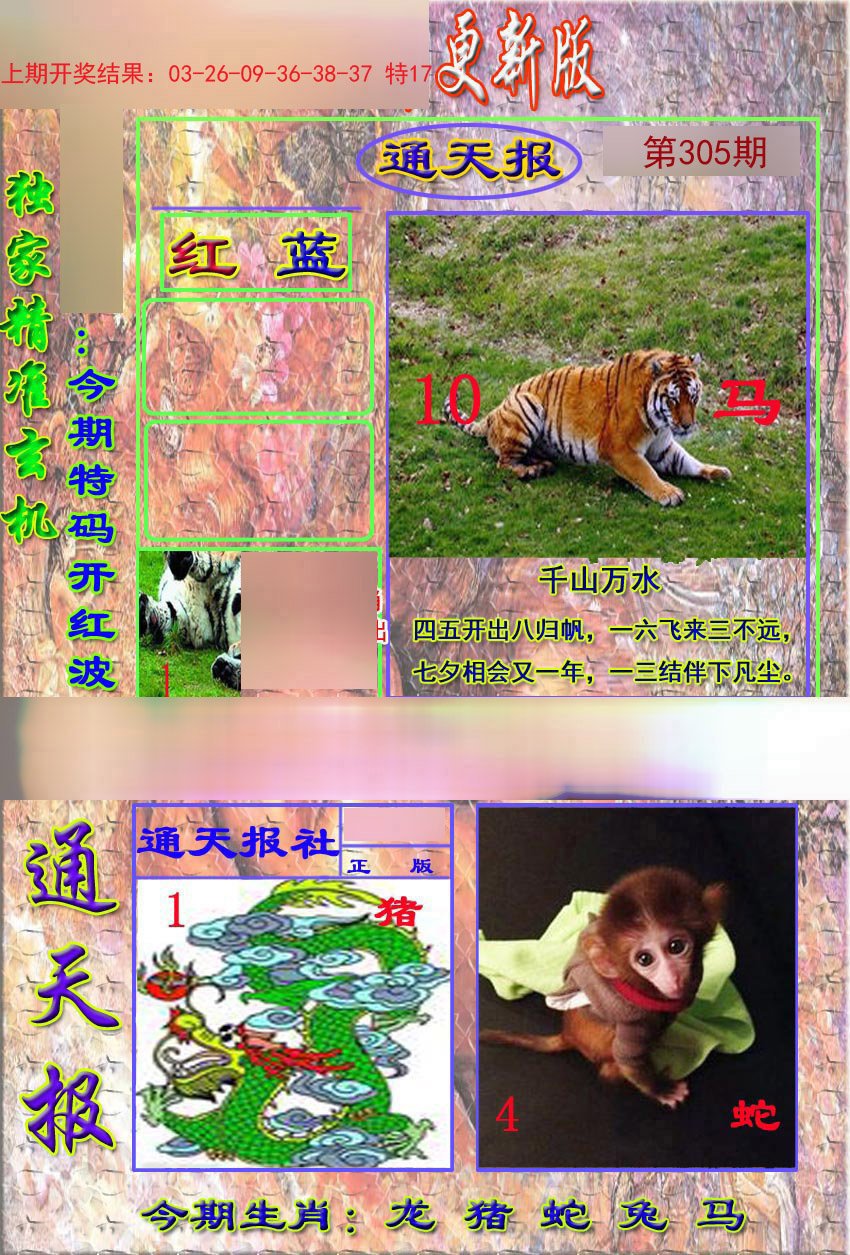 2024305期新通报
