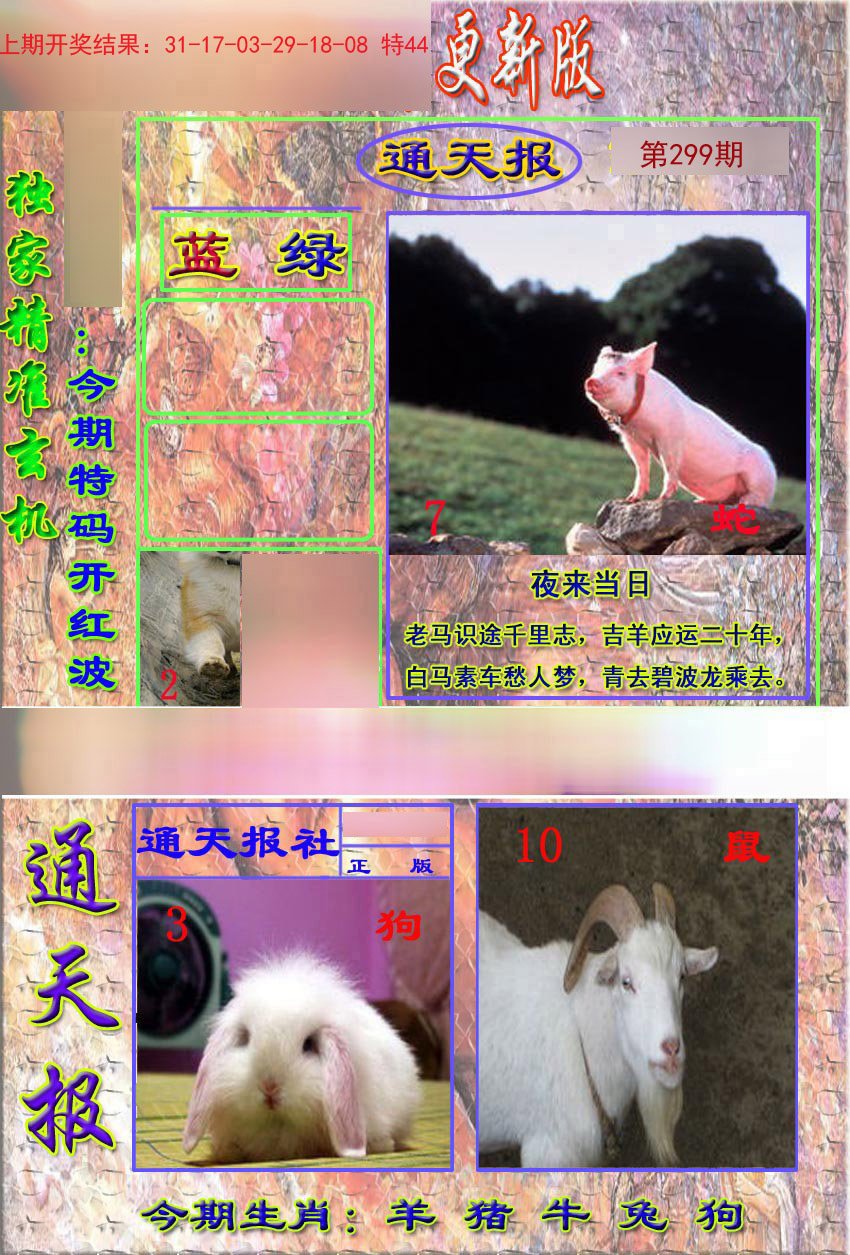 2024299期新通报