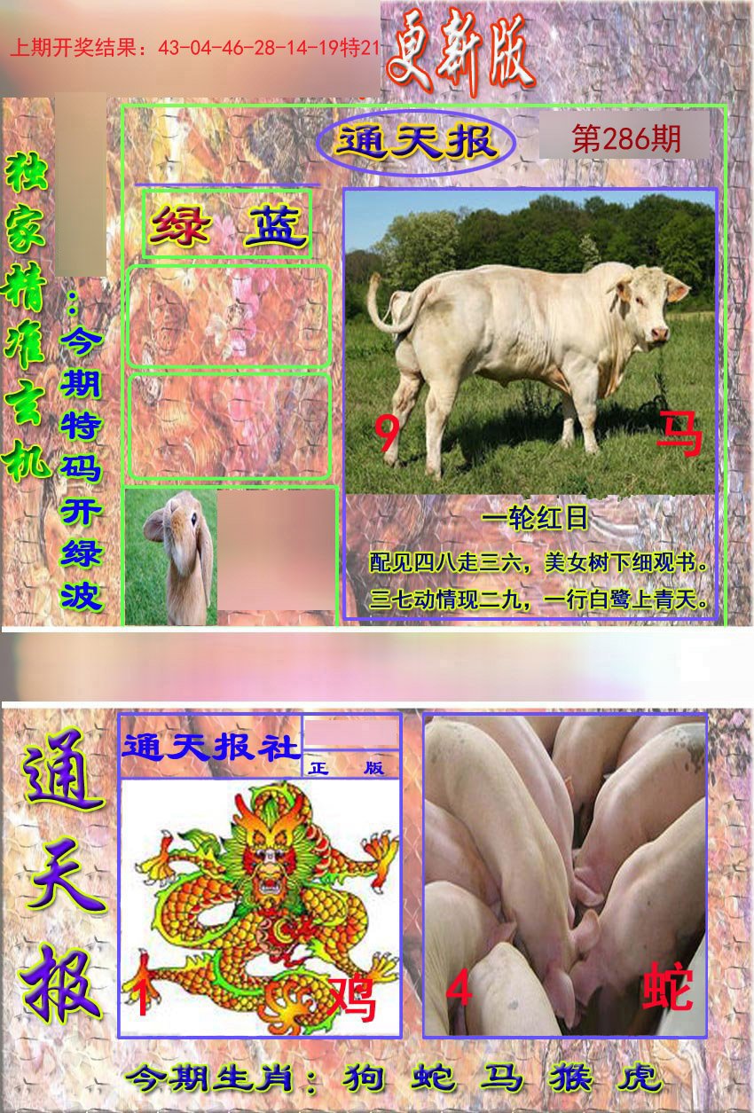 2024286期新通报