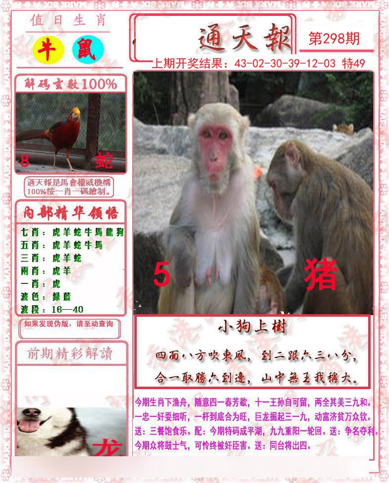 2024298期马经通天报
