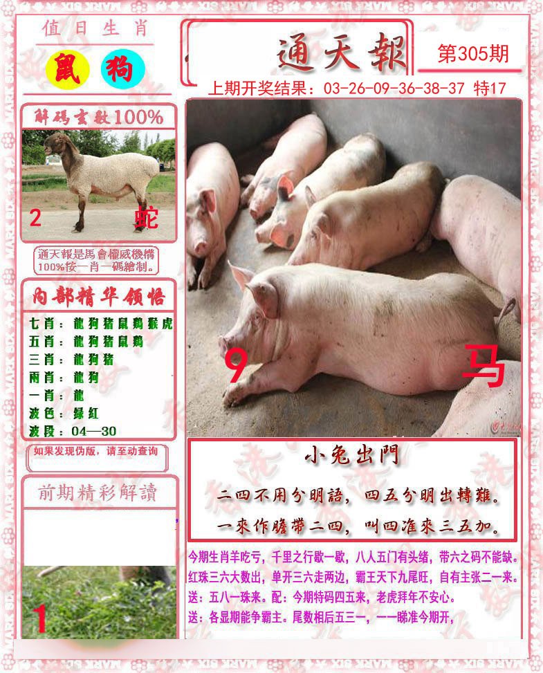 2024305期马经通天报