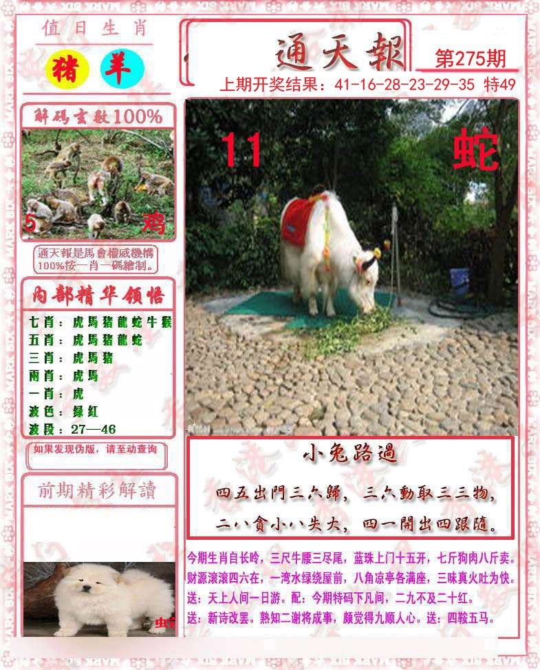 2024275期马经通天报