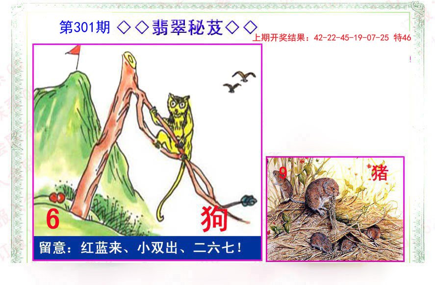 2024301期翡翠报