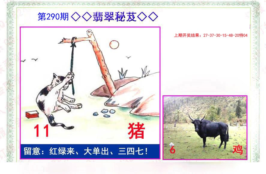 2024290期翡翠报