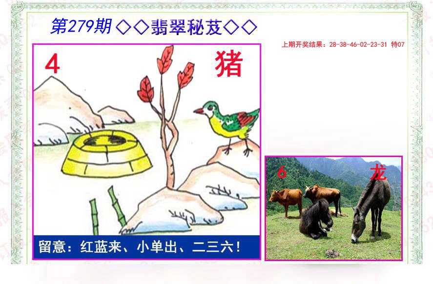 2024279期翡翠报
