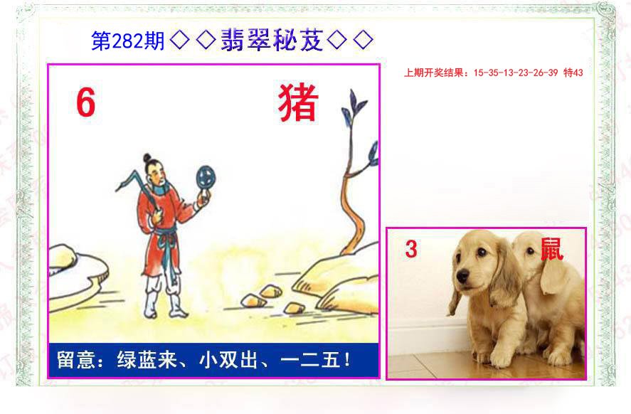 2024282期翡翠报