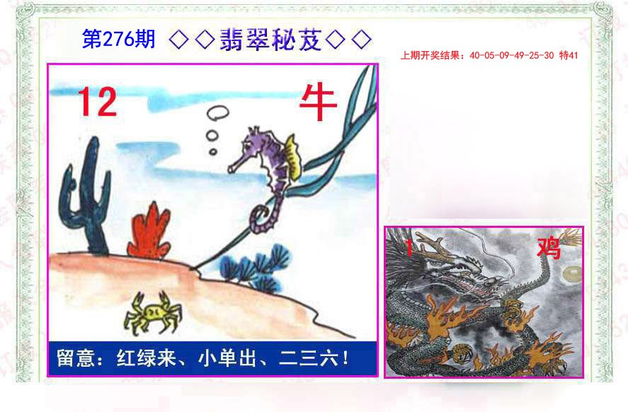 2024276期翡翠报