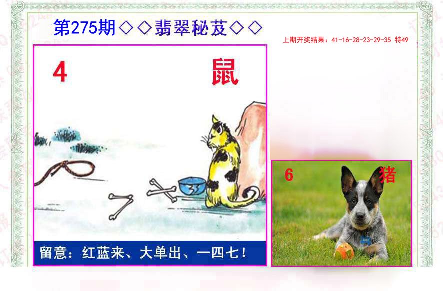 2024275期翡翠报