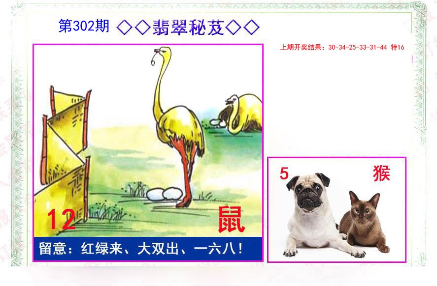 2024302期翡翠报
