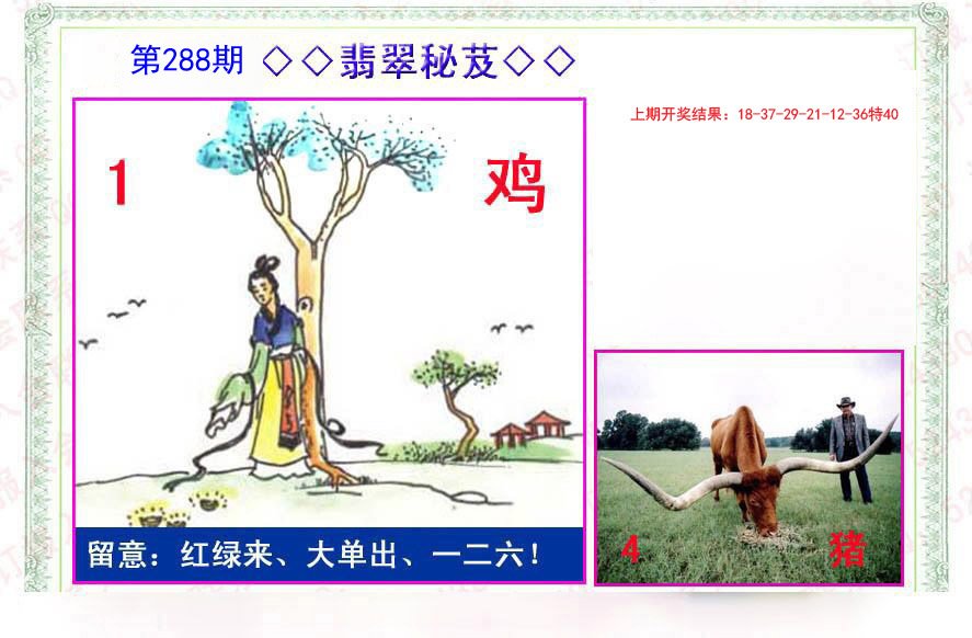 2024288期翡翠报