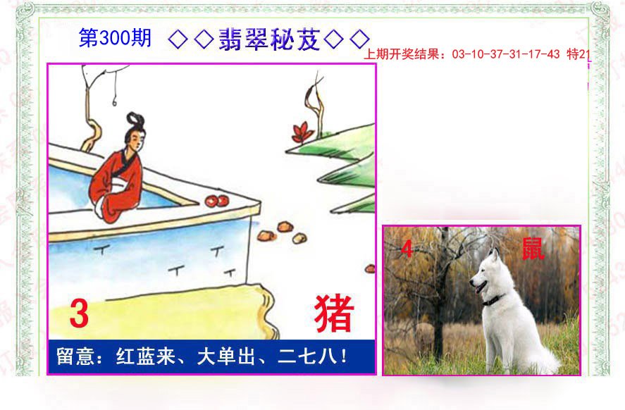 2024300期翡翠报