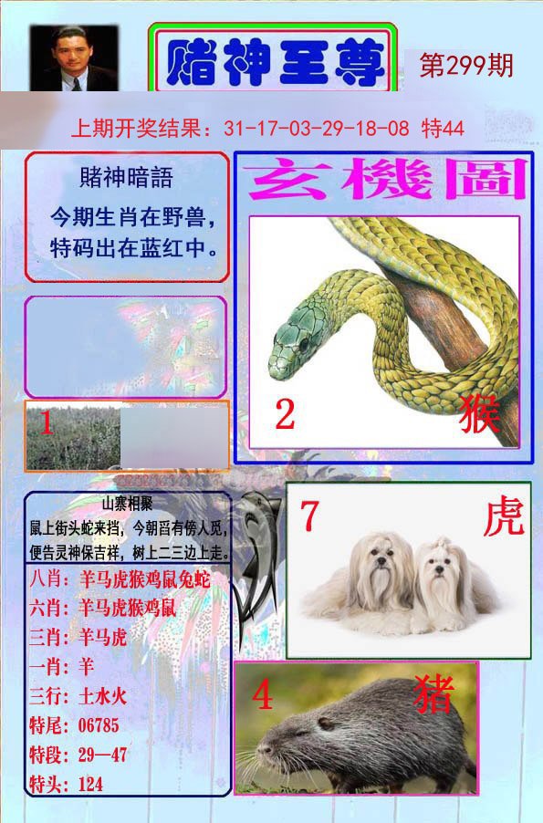 2024299期赌神至尊