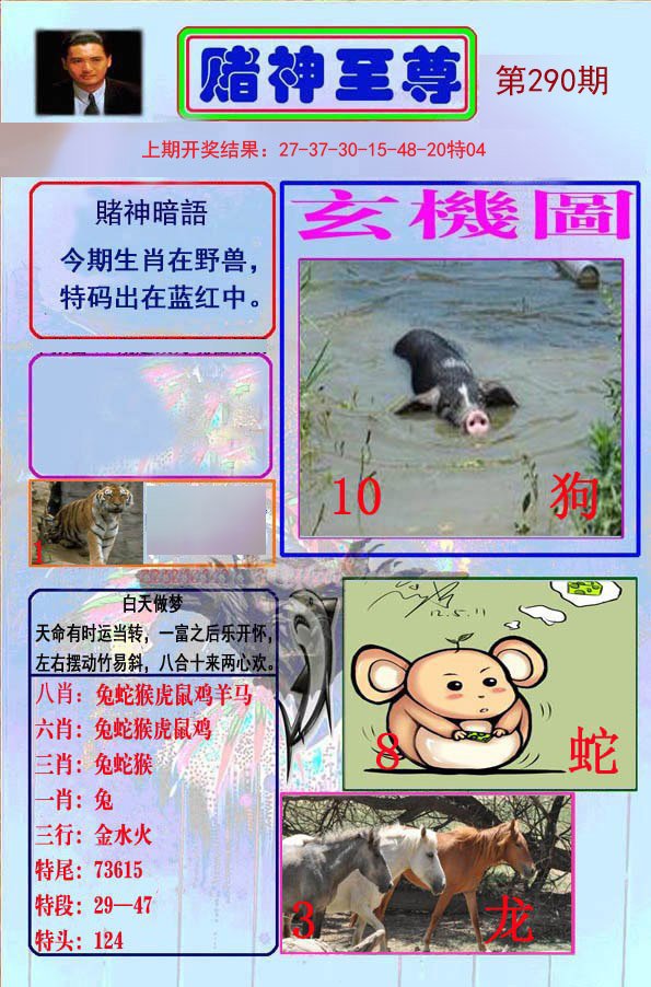 2024290期赌神至尊