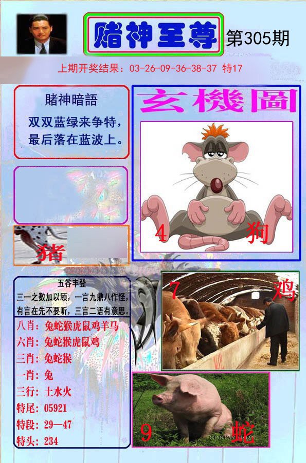 2024305期赌神至尊