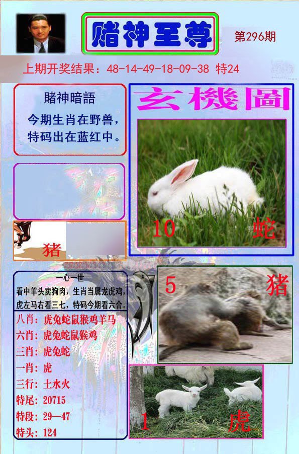 2024296期赌神至尊