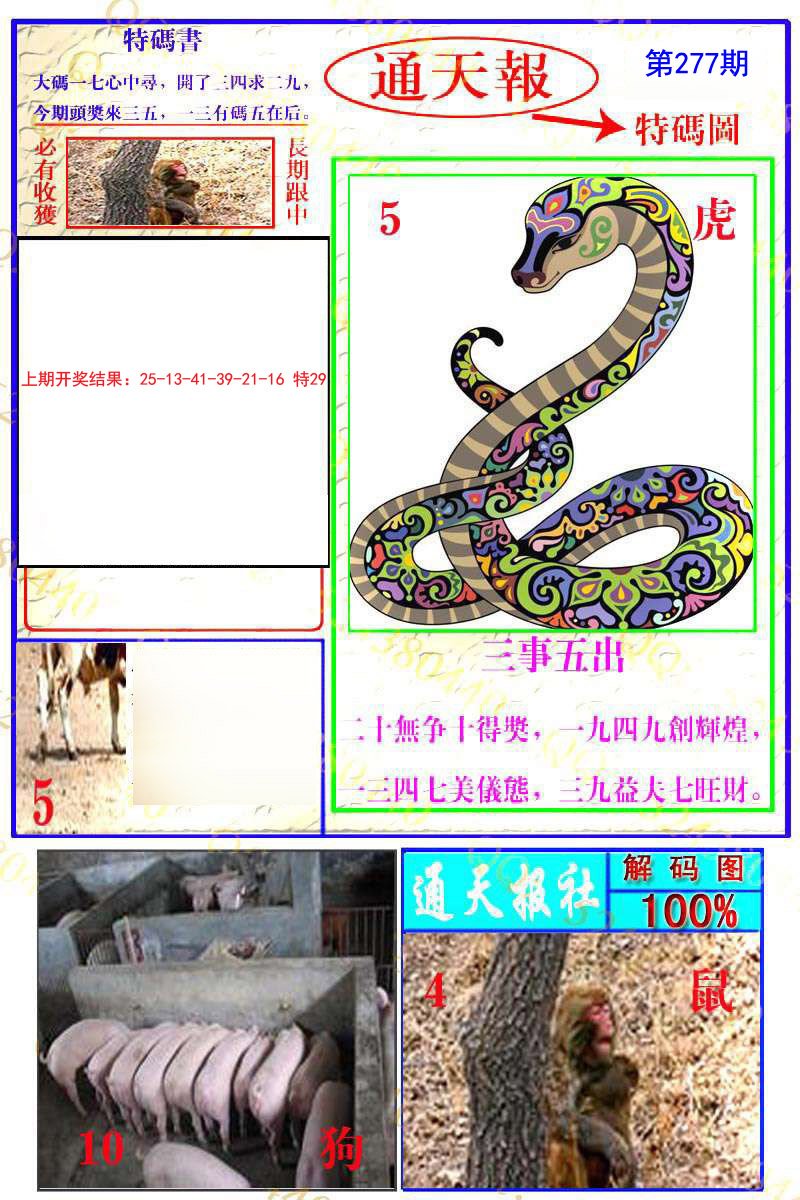 2024277期通天特解图