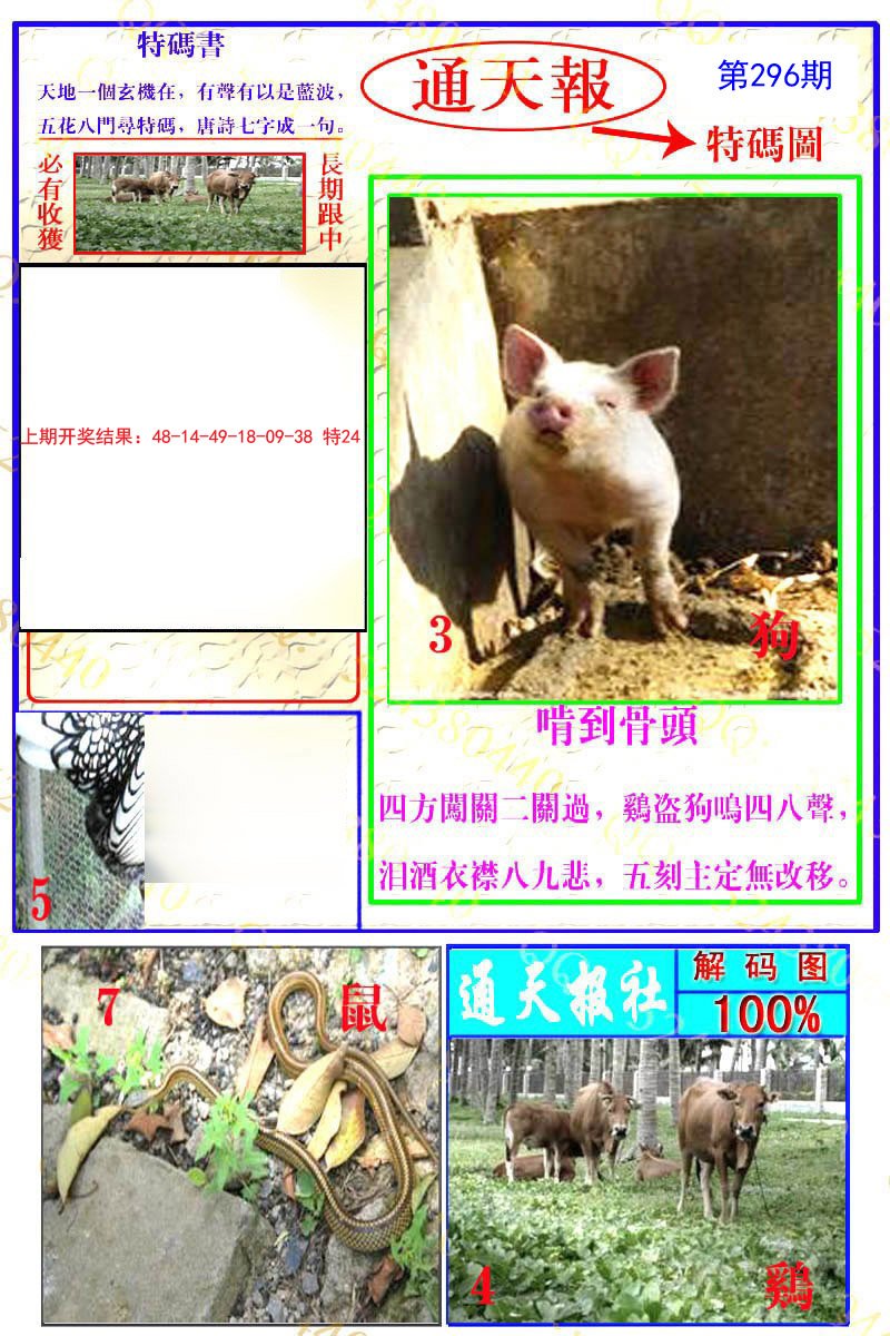 2024296期通天特解图