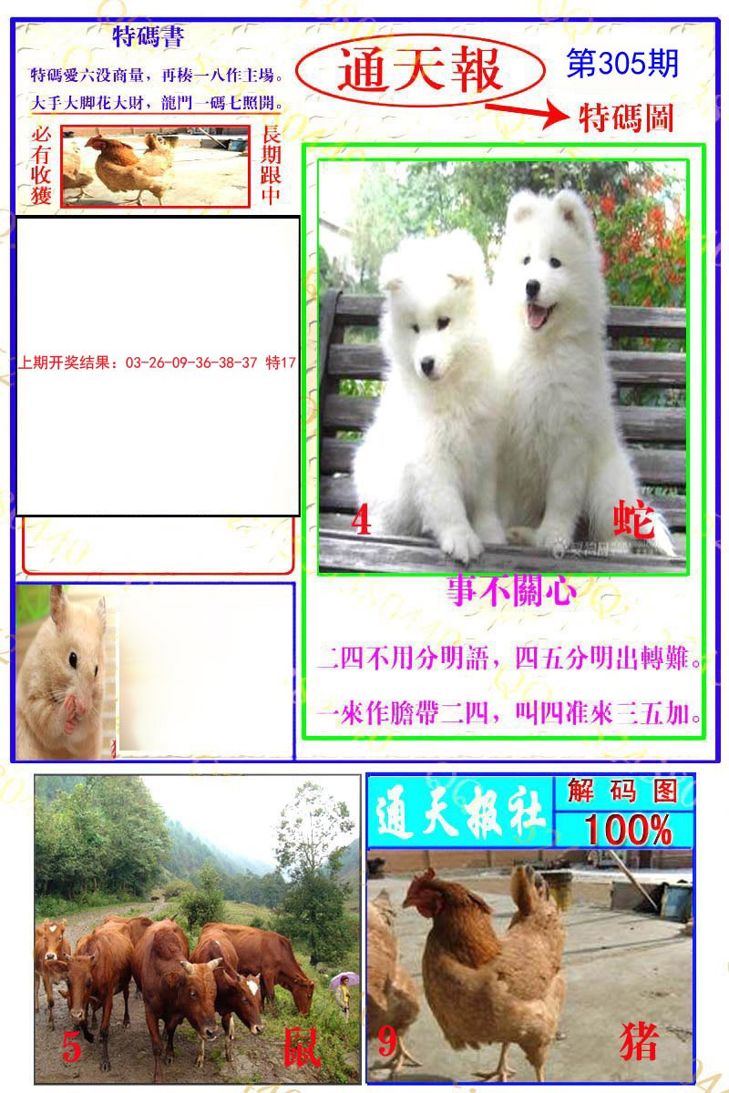 2024305期通天特解图