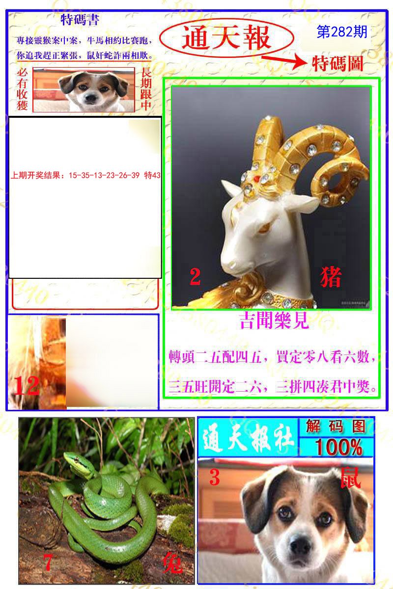 2024282期通天特解图