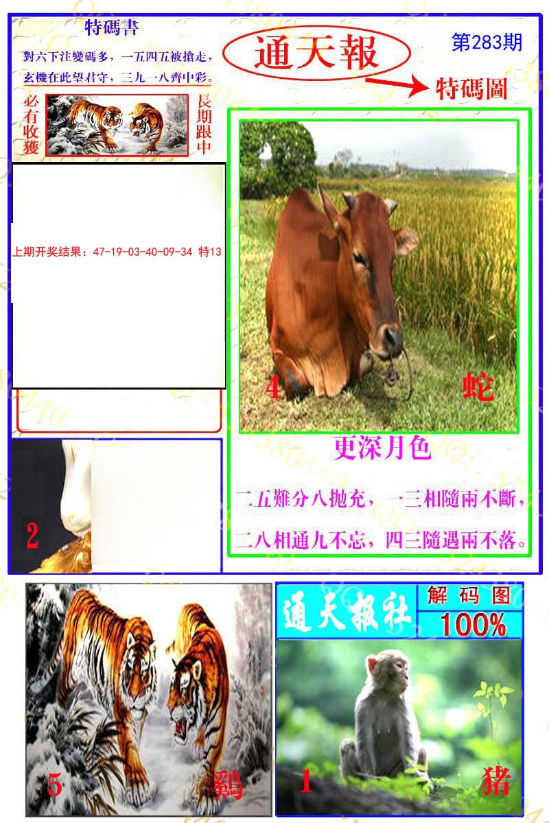 2024283期通天特解图