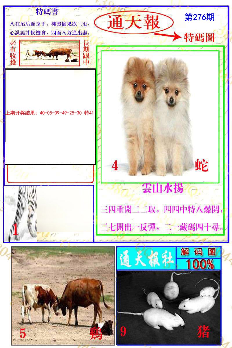2024276期通天特解图