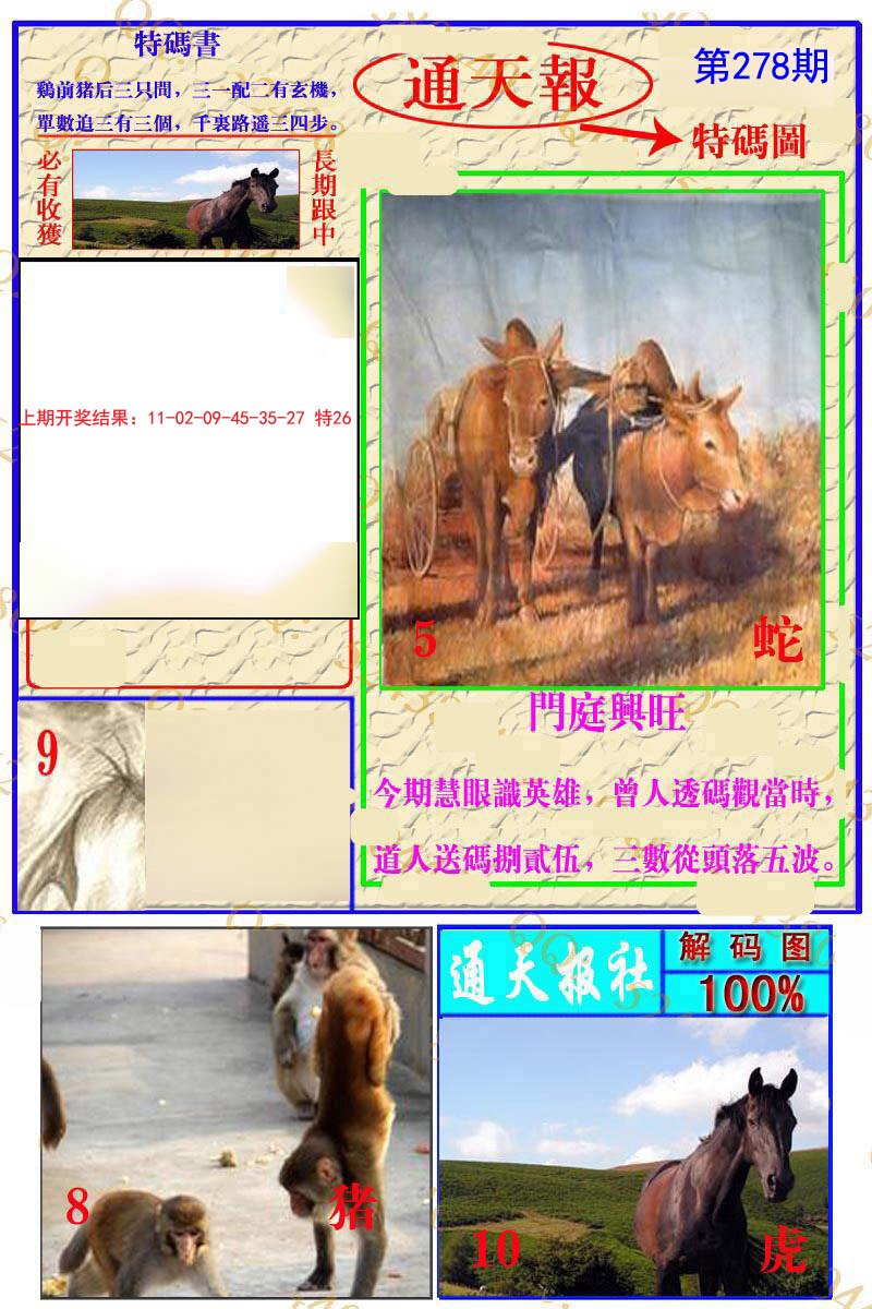 2024278期通天特解图