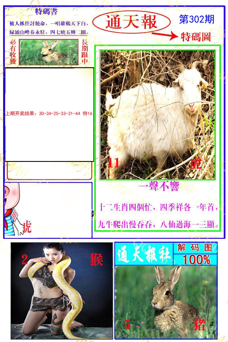 2024302期通天特解图
