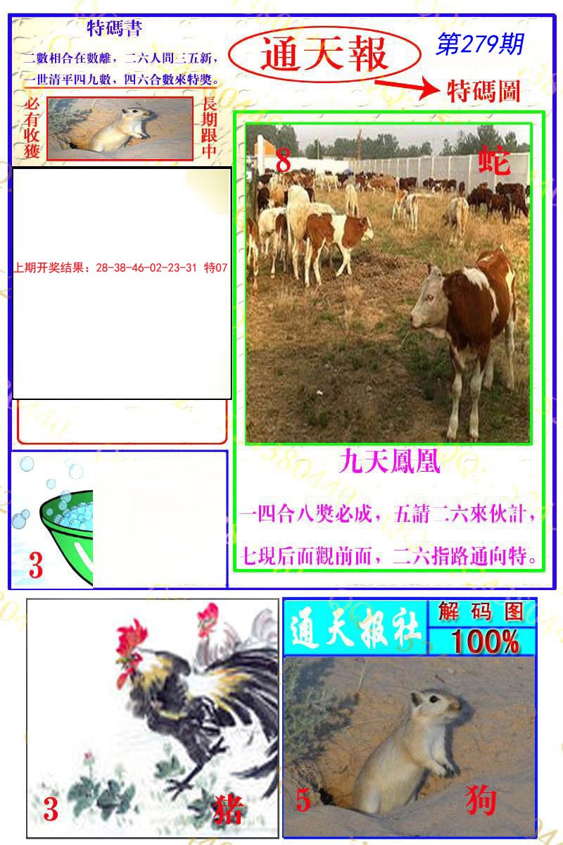 2024279期通天特解图