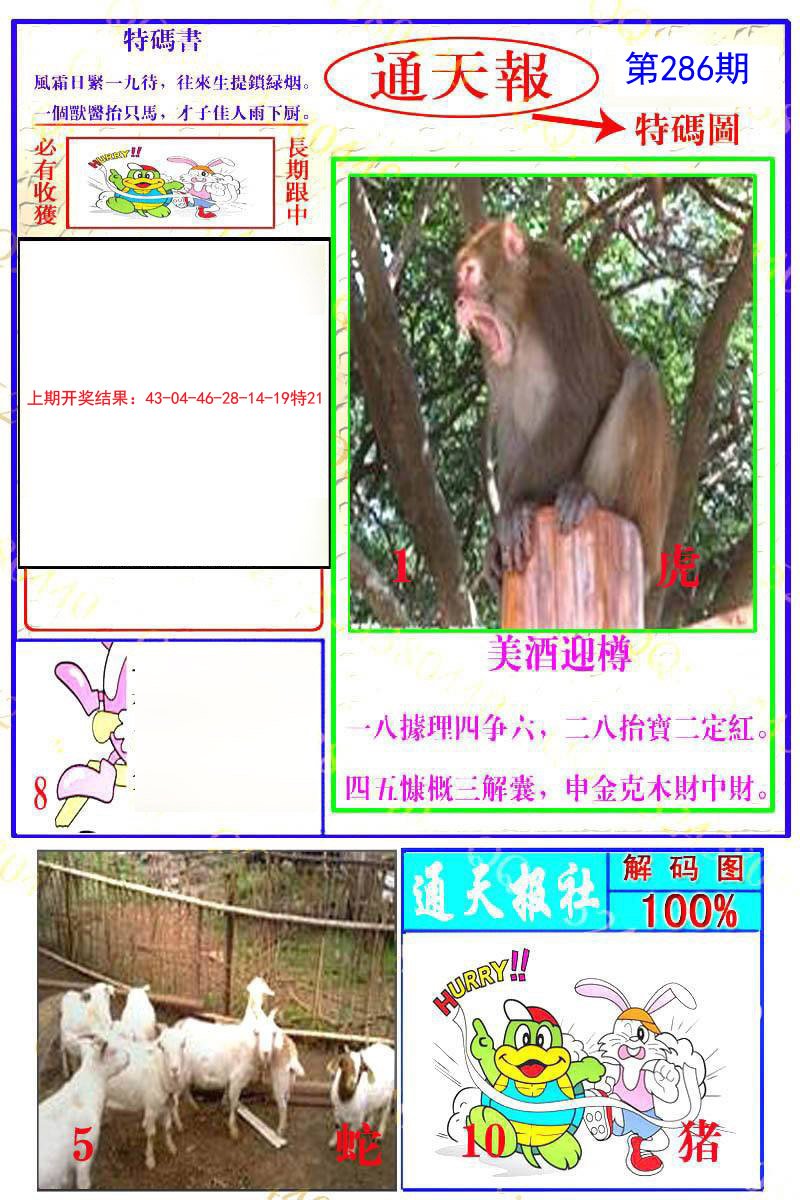2024286期通天特解图