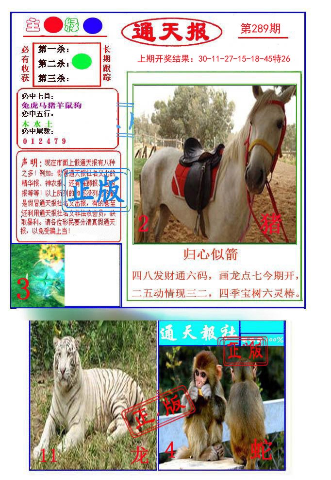 2024289期通天杀波图1