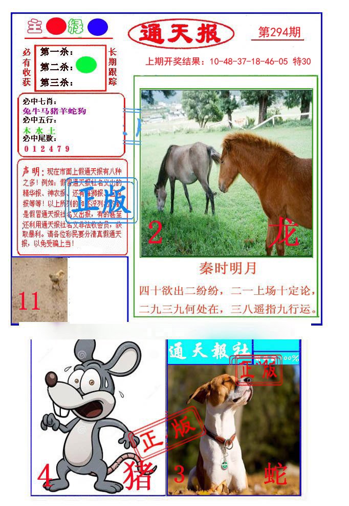 2024294期通天杀波图1