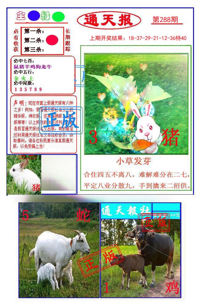 2024288期通天杀波图1