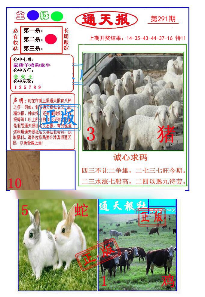 2024291期通天杀波图1
