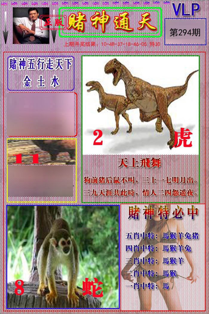 2024294期赌神通天报