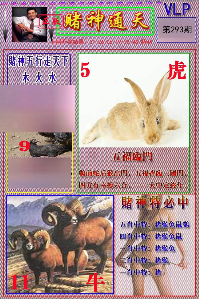 2024293期赌神通天报