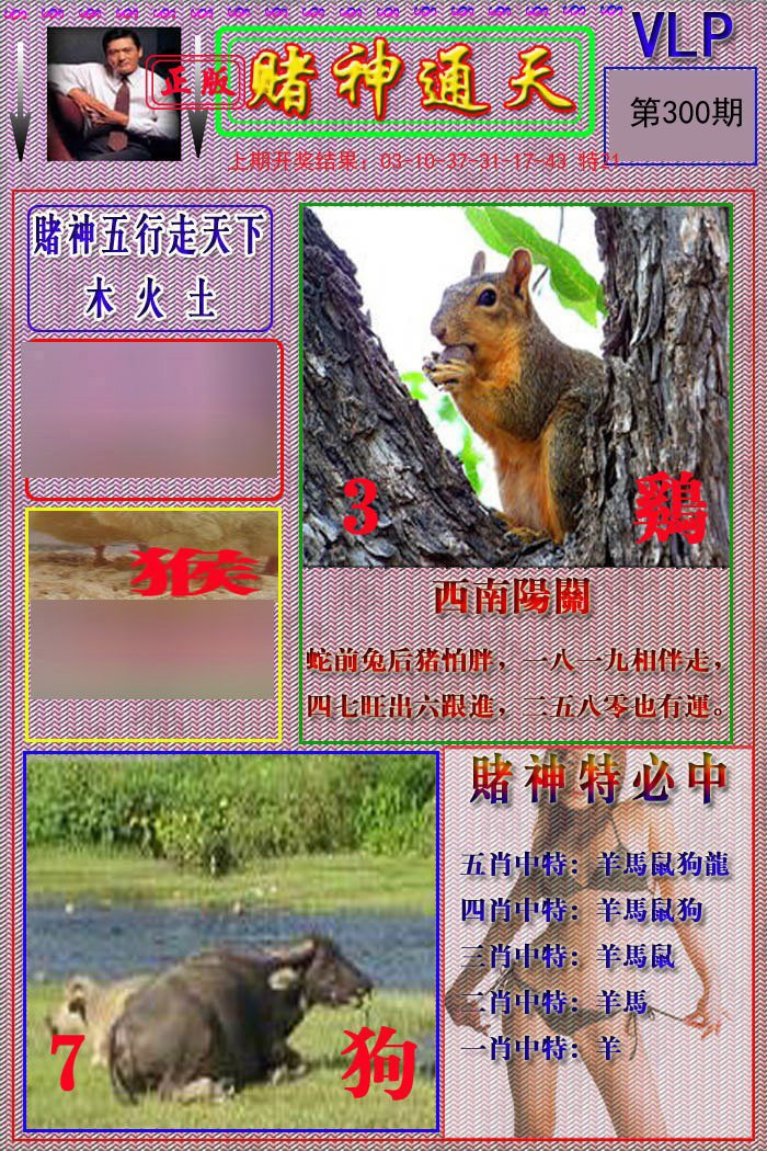 2024300期赌神通天报