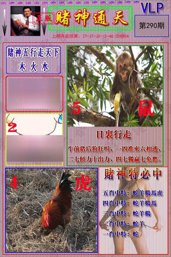 2024290期赌神通天报